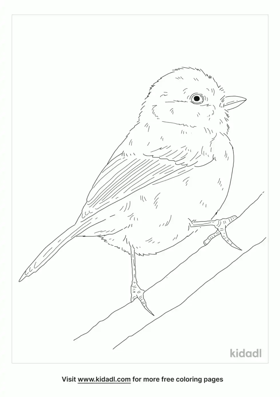 Japanese Tit Coloring Page