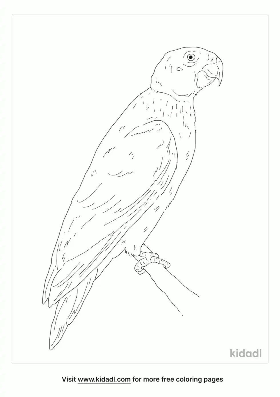 Bald Parrot Coloring Page