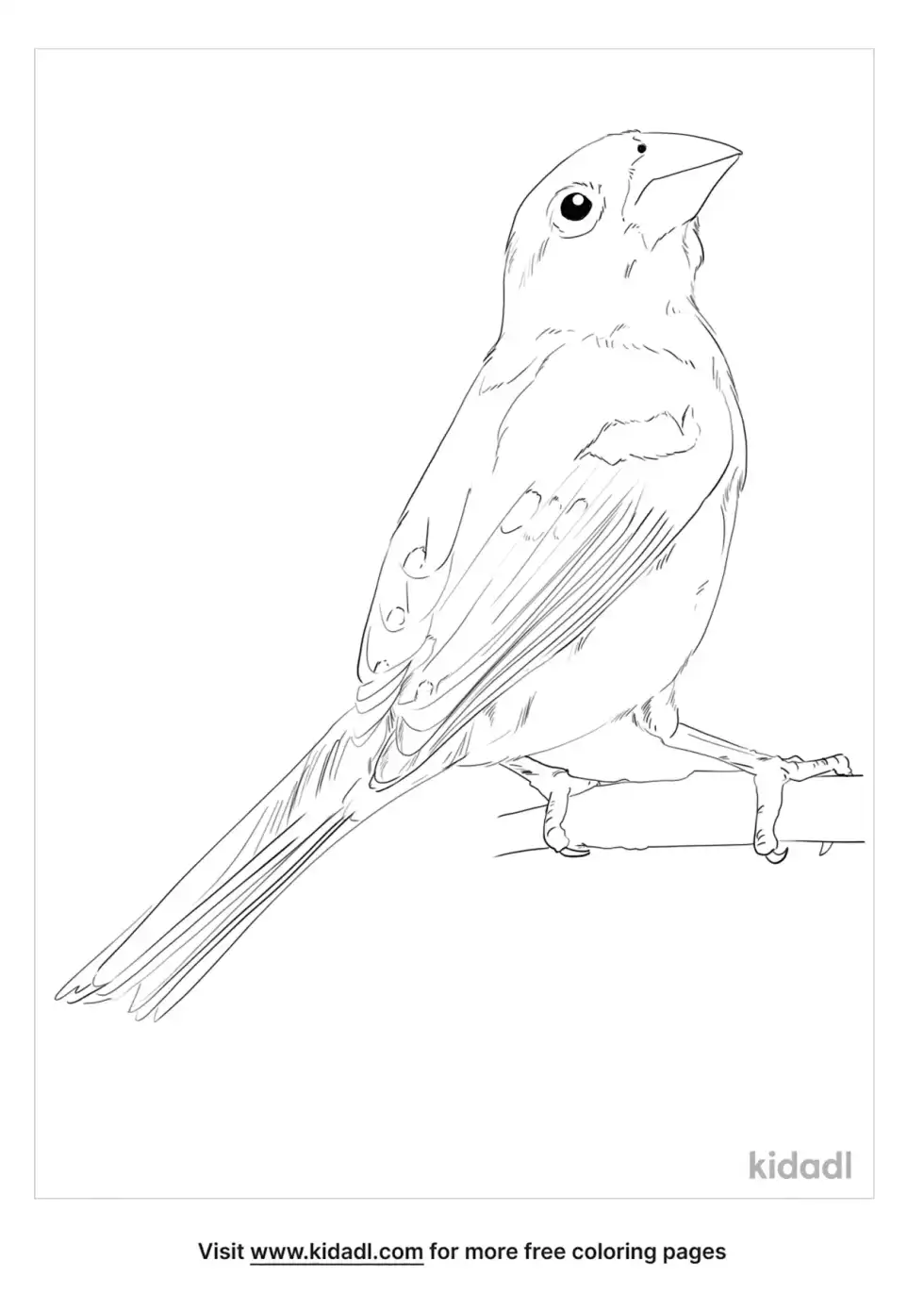Yellow Grosbeak Coloring Page