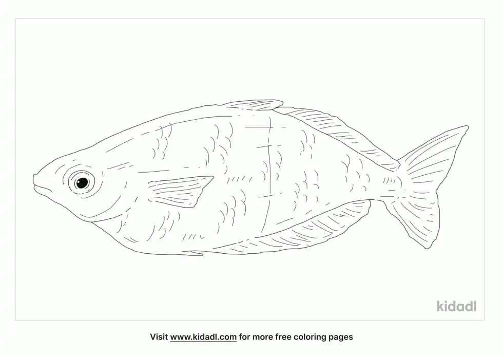 Atheriniforme Coloring Page