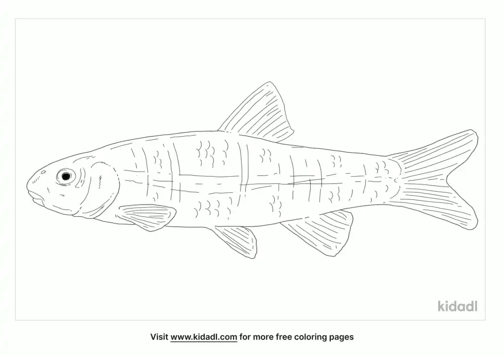 Cutlips Minnow Coloring Page