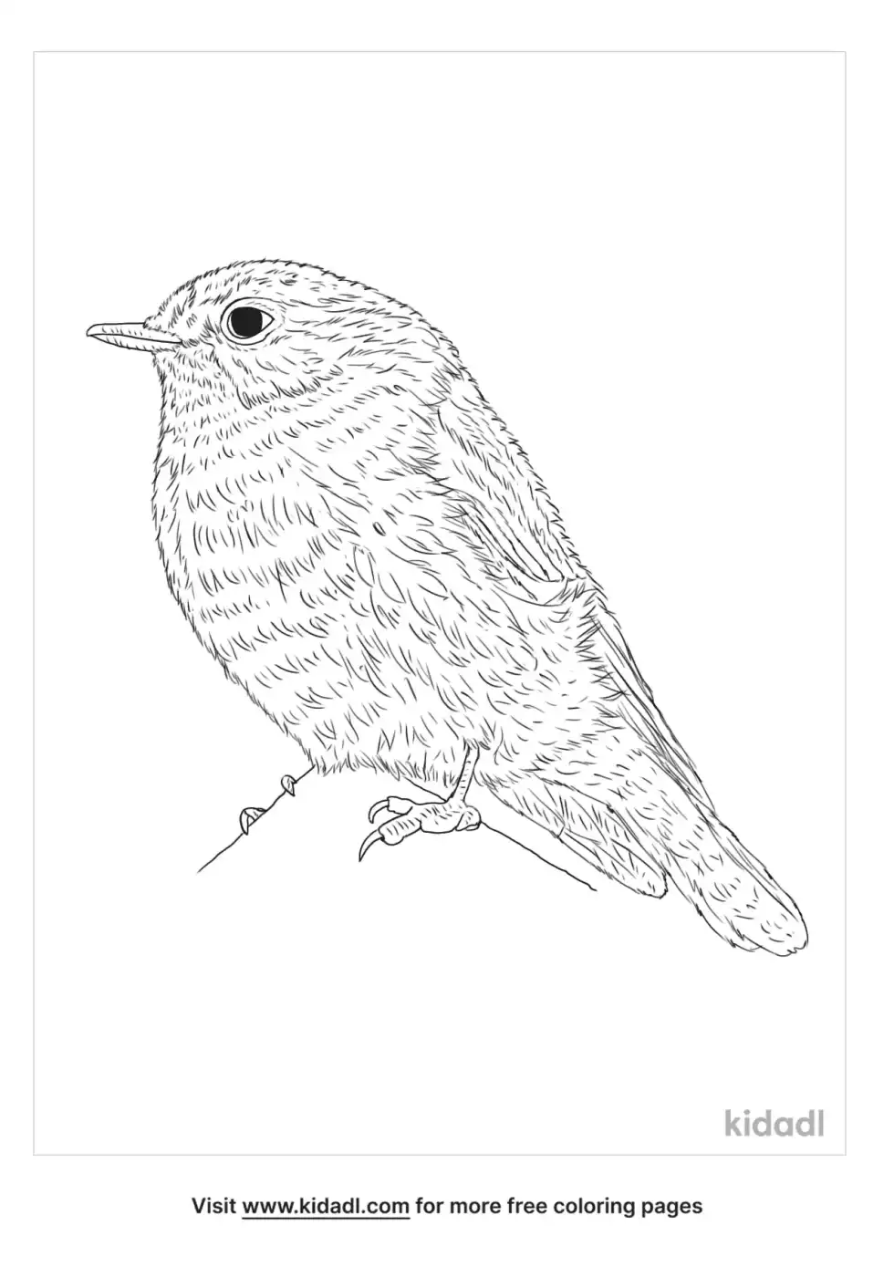 Jacky Winter Coloring Page