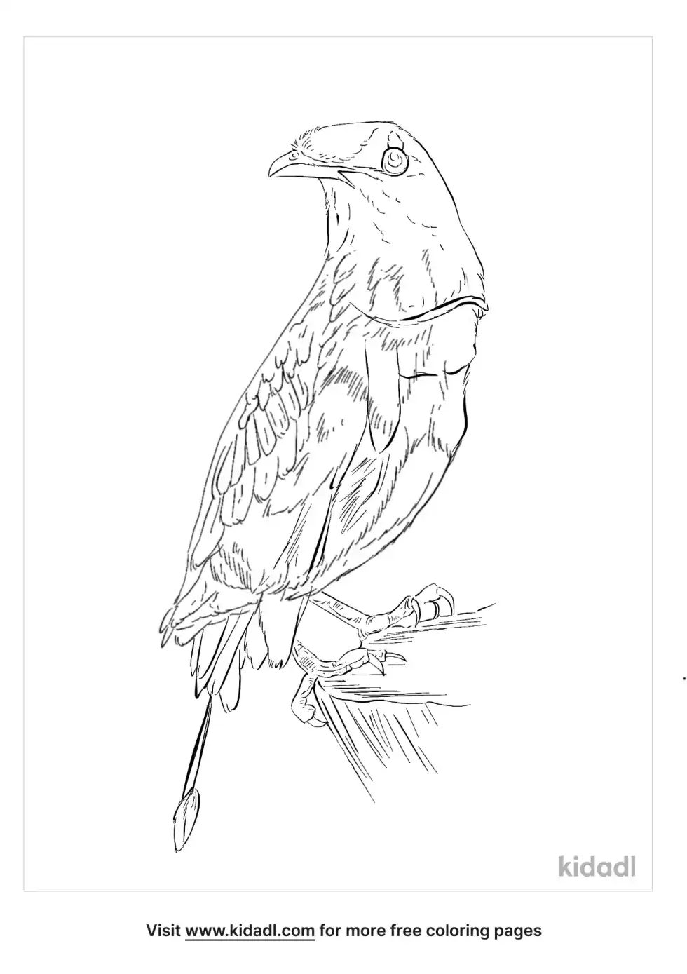 King Bird-Of-Paradise Coloring Page