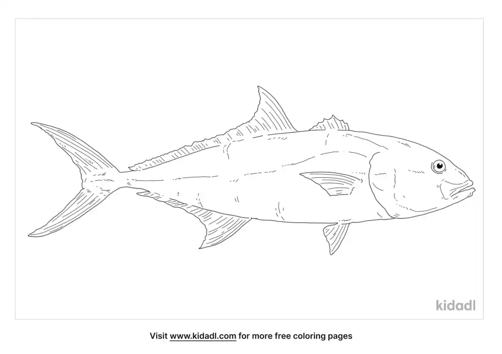 Greater Amberjack Coloring Page