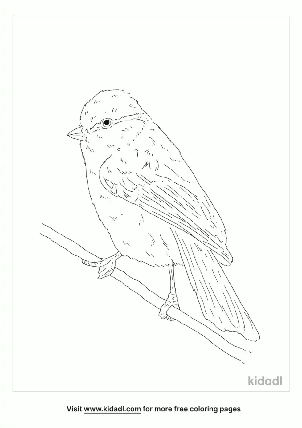 Azure Tit Coloring Page
