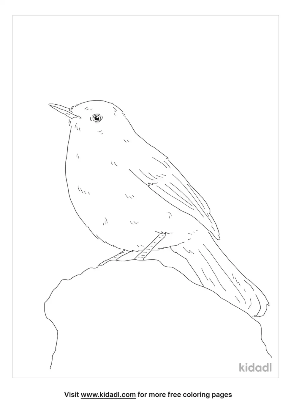 Black Catbird Coloring Page