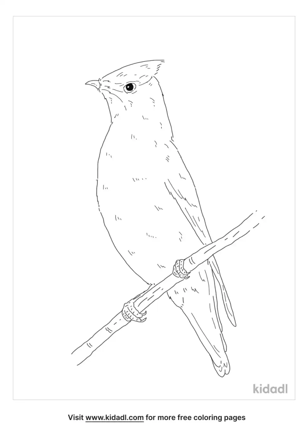 Japanese Waxwing Coloring Page