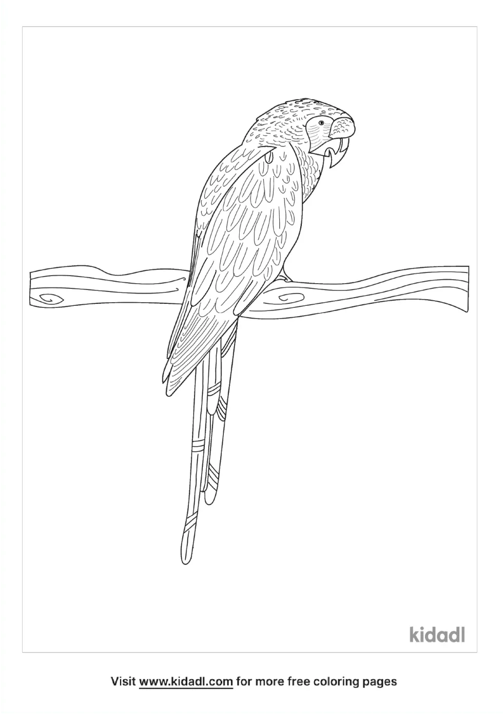 Great Green Macaw Coloring Page