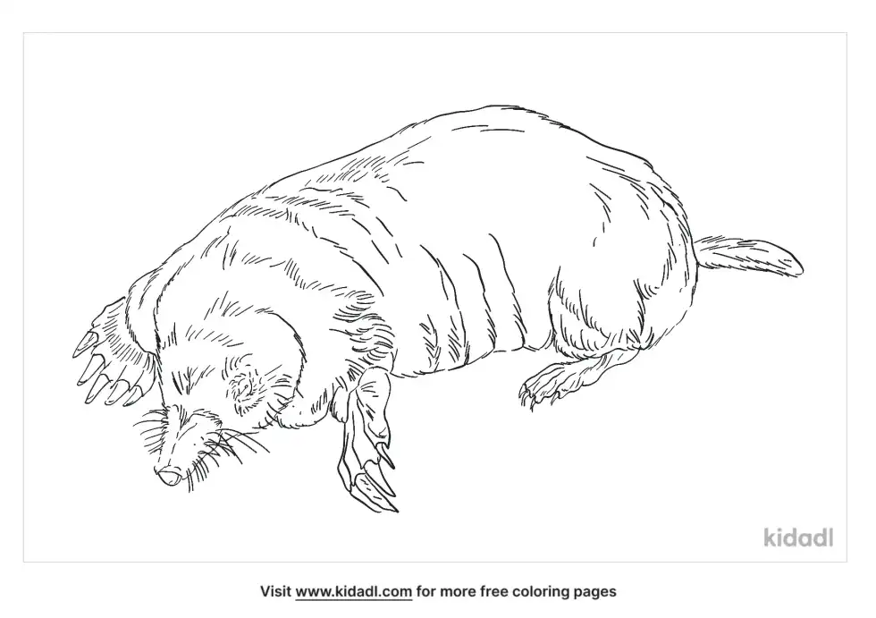 European Mole Coloring Page