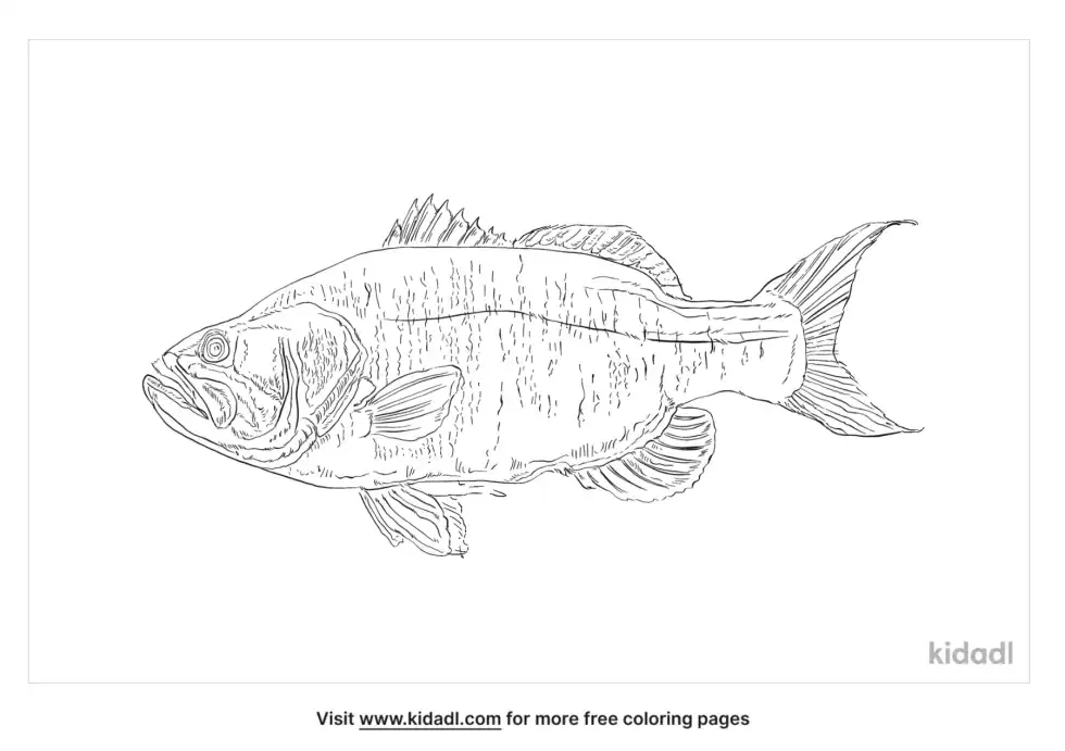 French Grunt Coloring Page