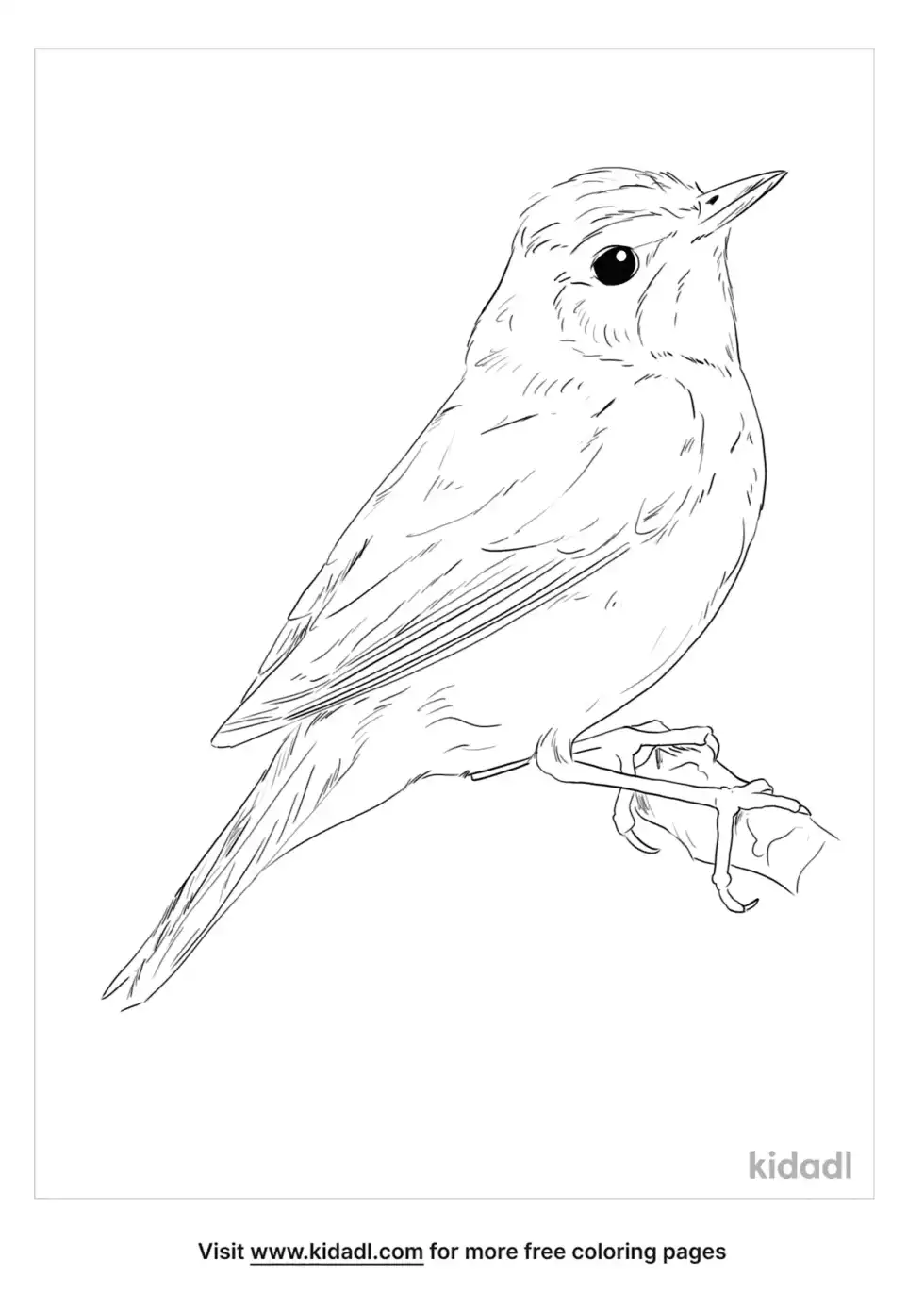 Kentucky Warbler Coloring Page