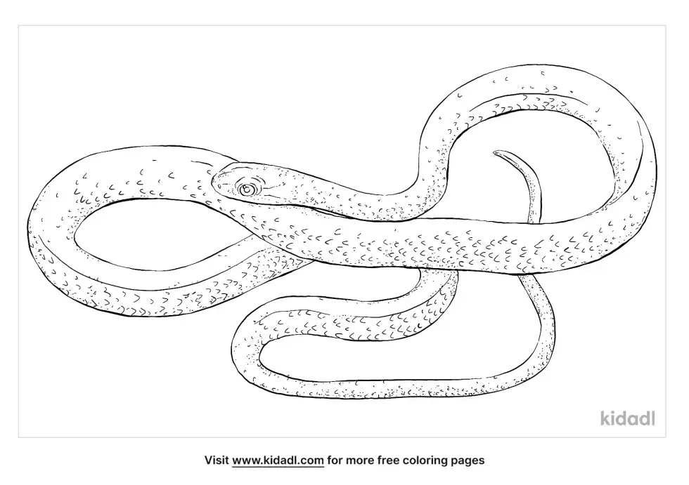 Green Mamba Coloring Page