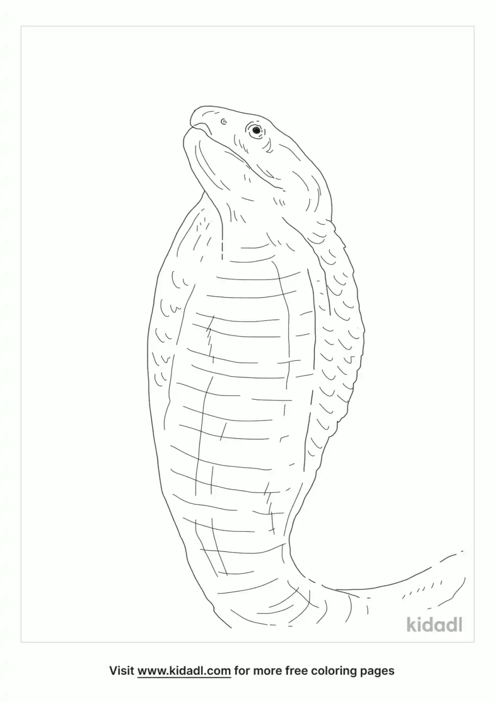Black Necked Spitting Cobra Coloring Page