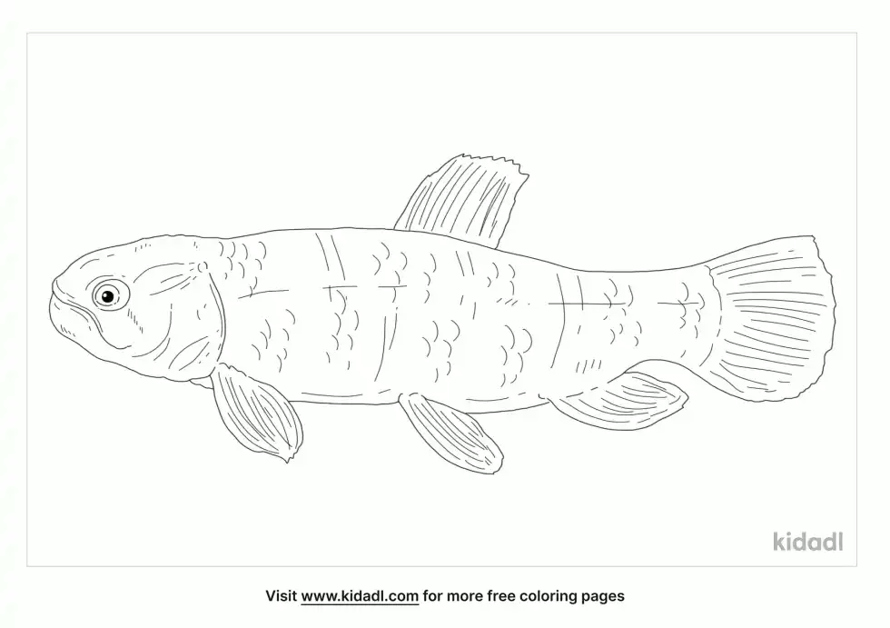 Red Wolf Fish Coloring Page