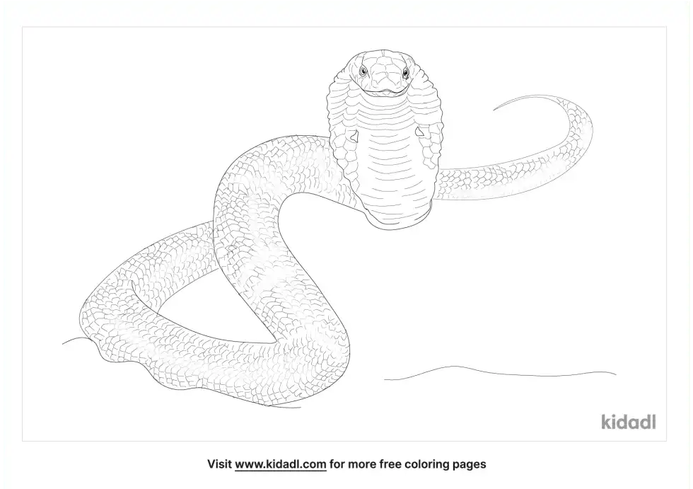 Monocled Cobra Coloring Page