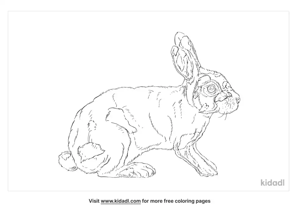 Rhinelander Rabbit Coloring Page