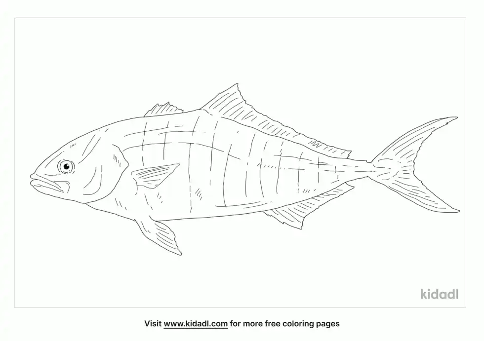 Banded Rudderfish Coloring Page
