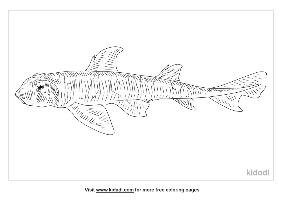 Japanese Bullhead Shark Coloring Page