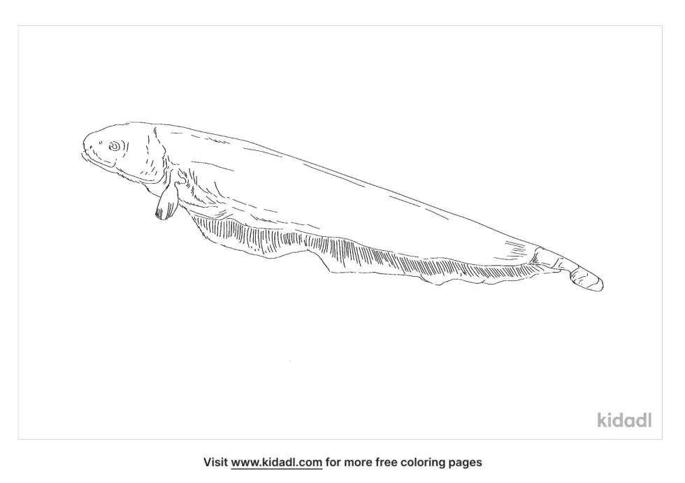 Ghost Knifefish Coloring Page