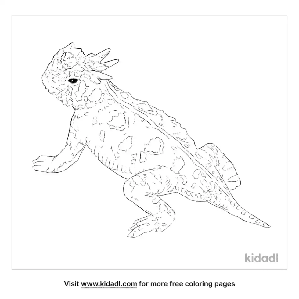 Desert Horned Lizard Coloring Page
