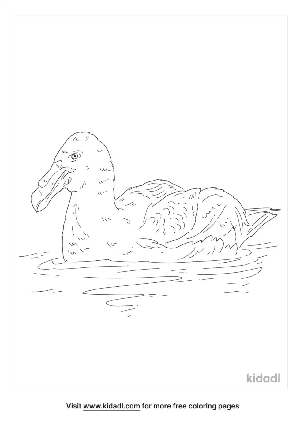 Northern Giant Petrel Coloring Page