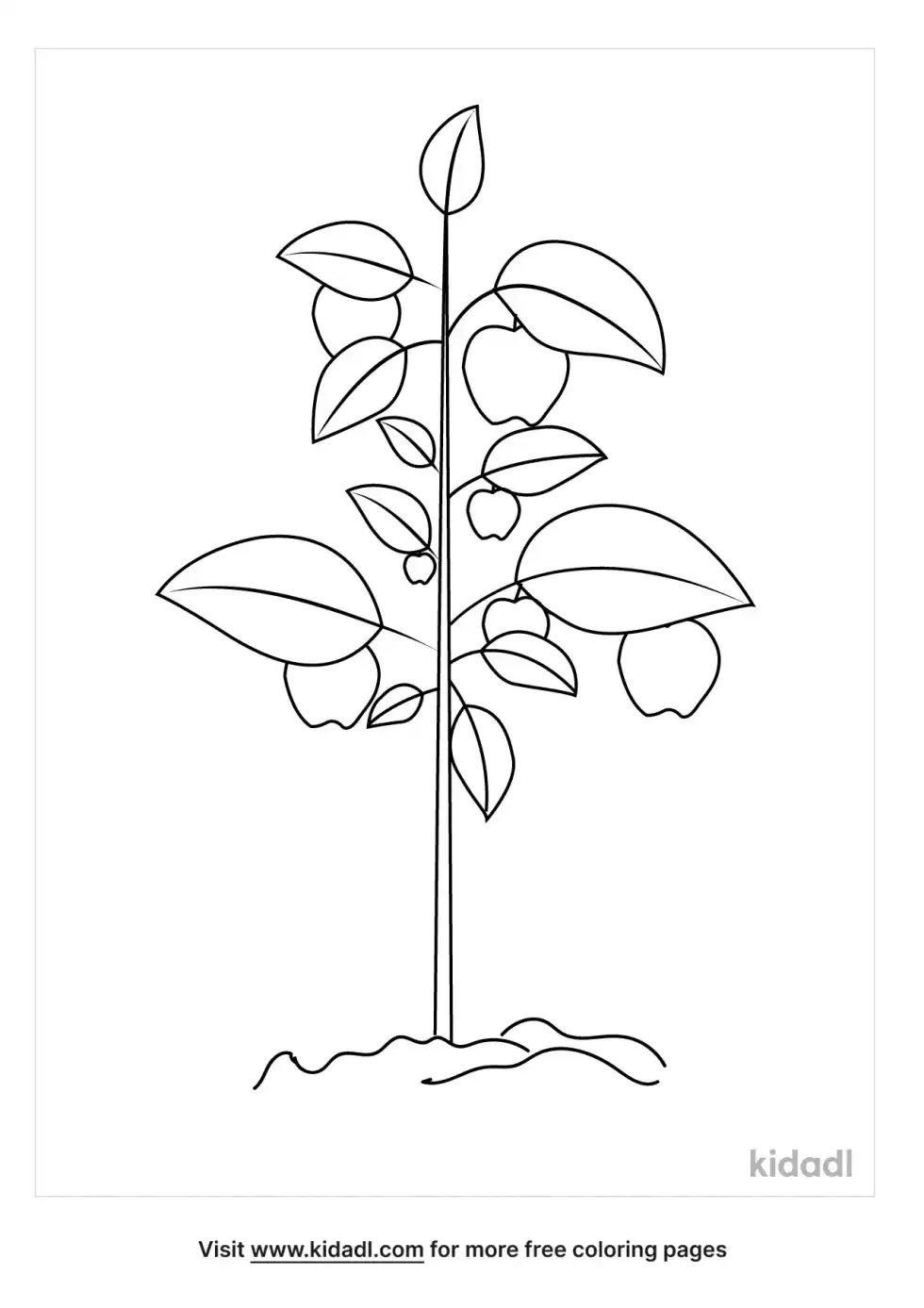 Fruit Plants Coloring Page