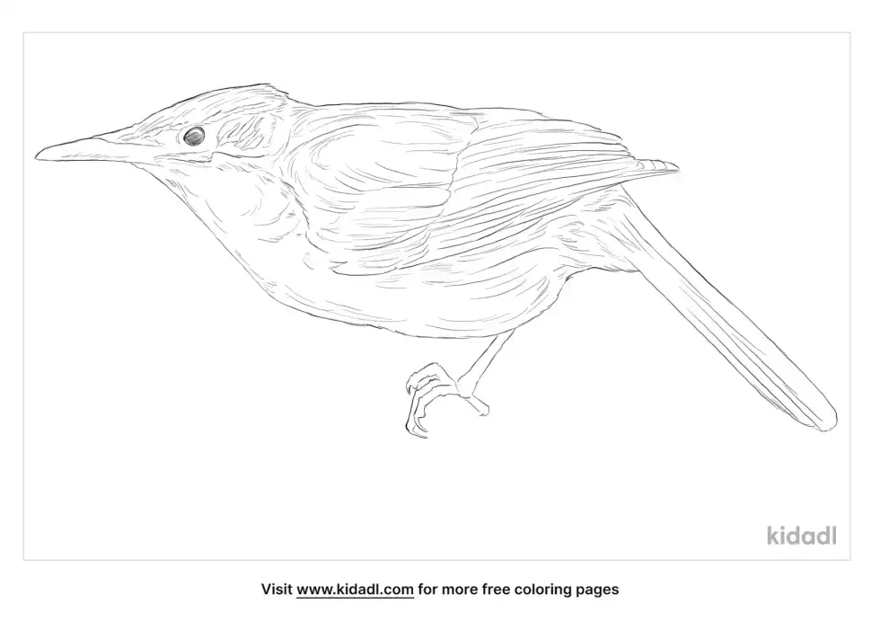 Cryptic Treehunter Coloring Page
