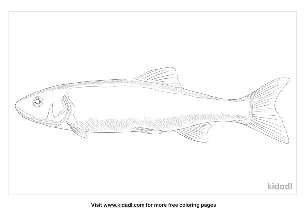 Fallfish Coloring Page