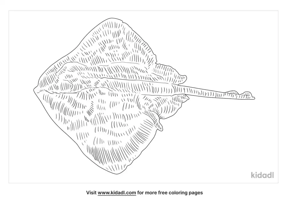 Thorny Skate Coloring Page