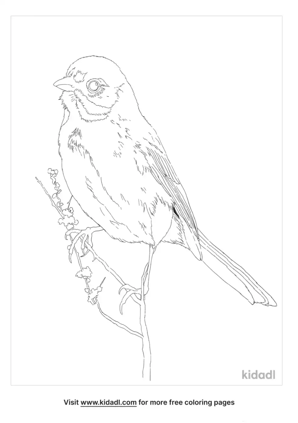 Bells Sparrow Coloring Page