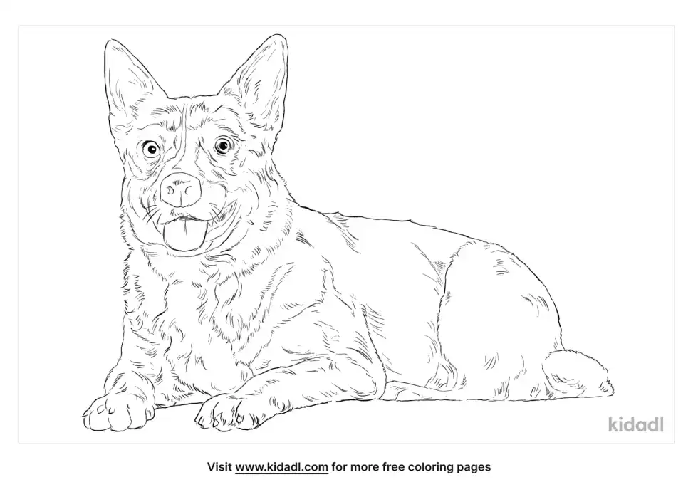 Corman Shepherd Coloring Page