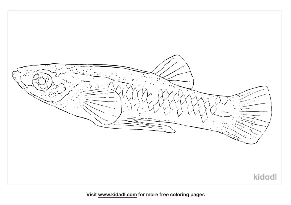 Mosquitofish Coloring Page