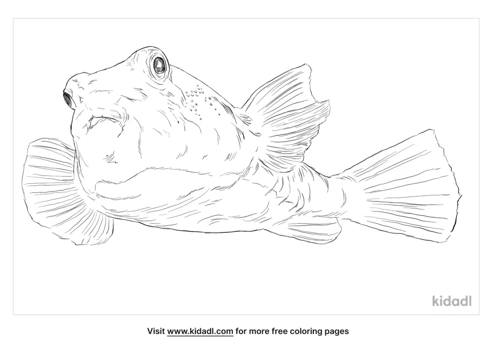 Northern Puffer Coloring Page