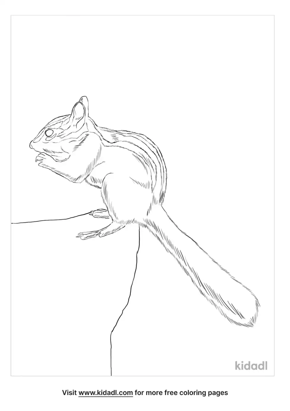 Lodgepole Chipmunk Coloring Page