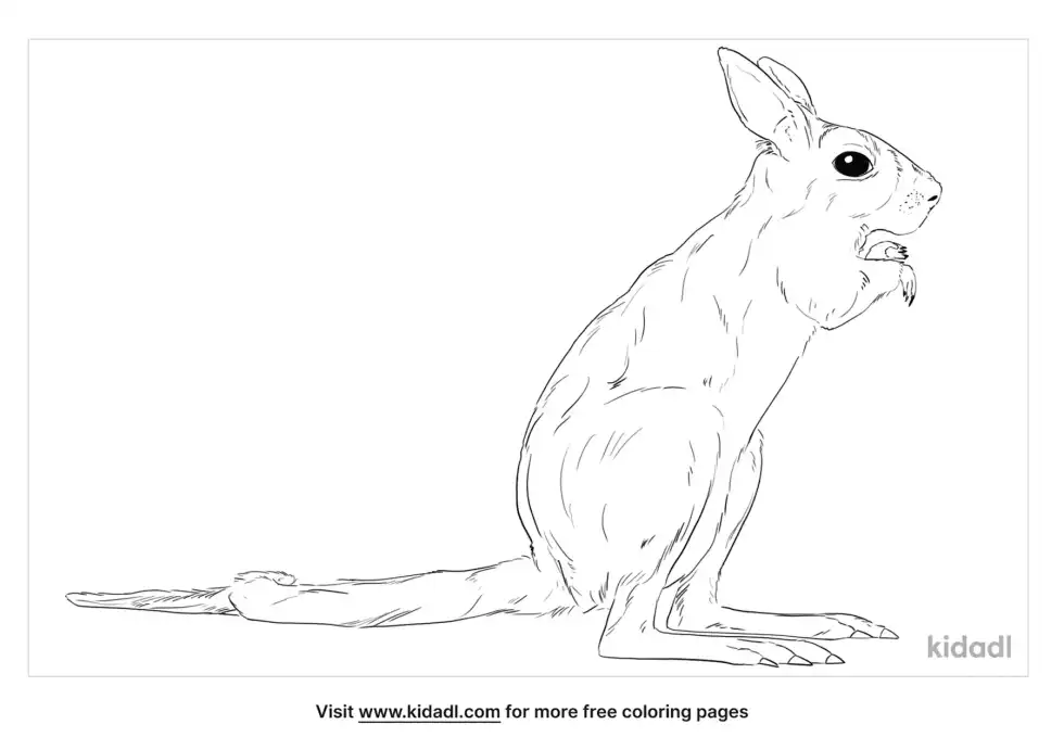 Spring Hare Coloring Page
