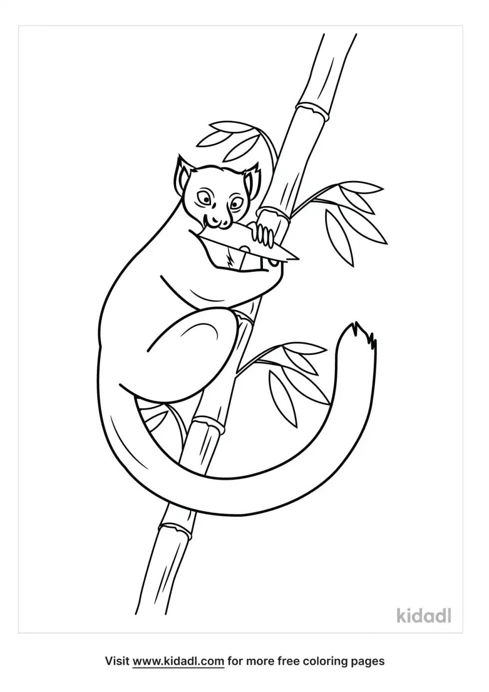 Golden Bamboo Lemur Coloring Page
