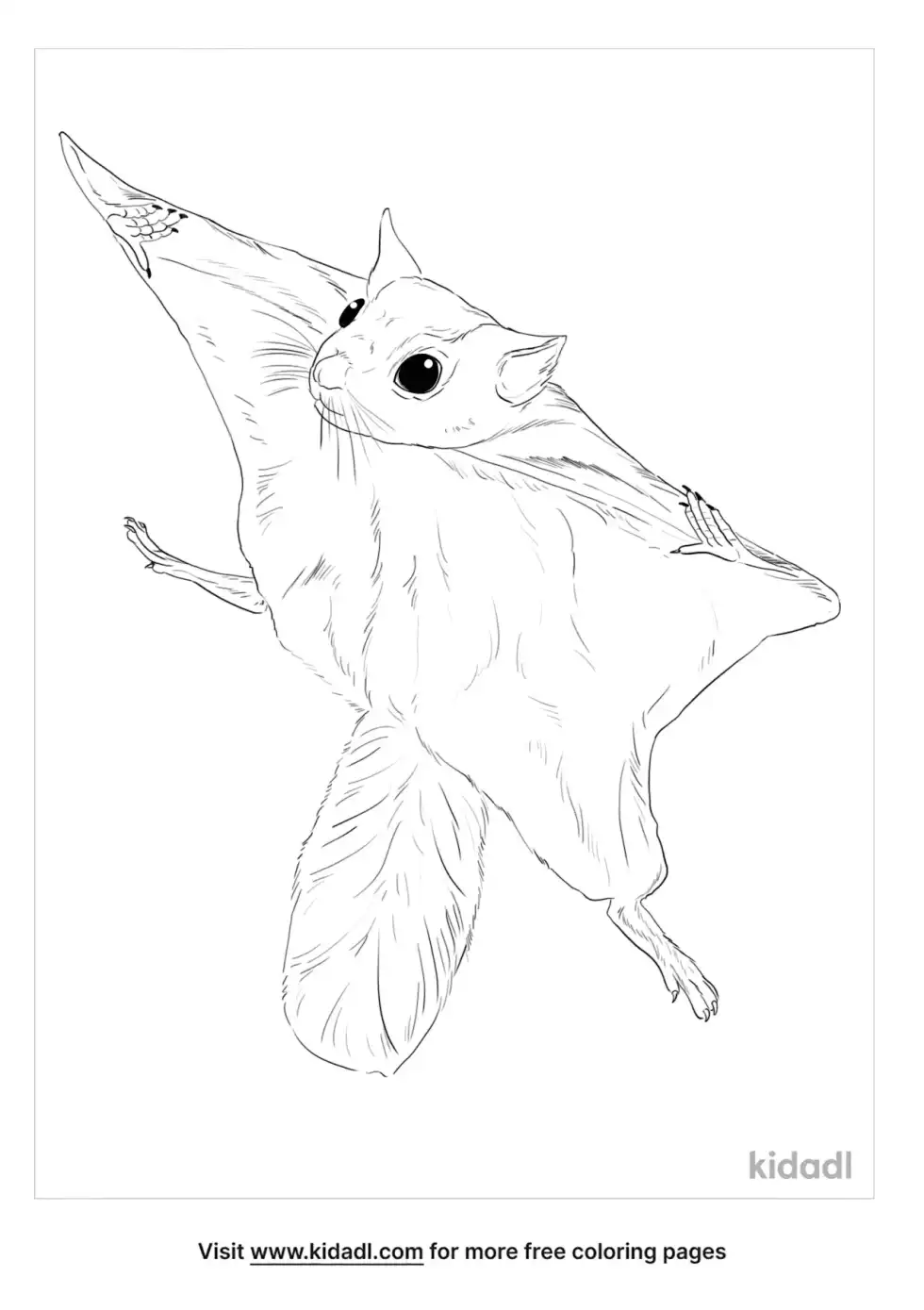 Southern Flying Squirrel Coloring Page