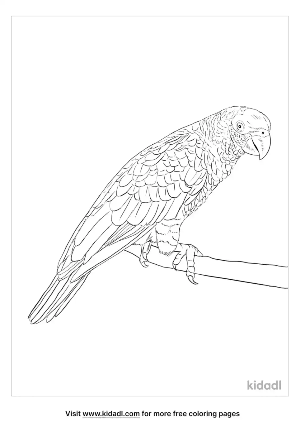 Cuban Amazon Coloring Page