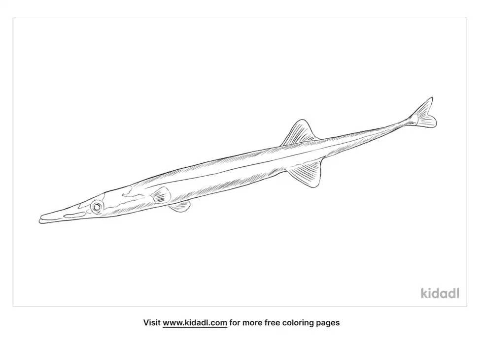 Tube-Snout Coloring Page