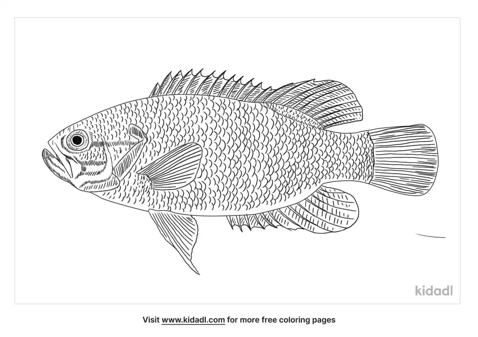 Mud Sunfish Coloring Page