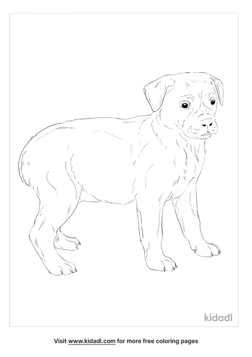 Boxweiler Coloring Page