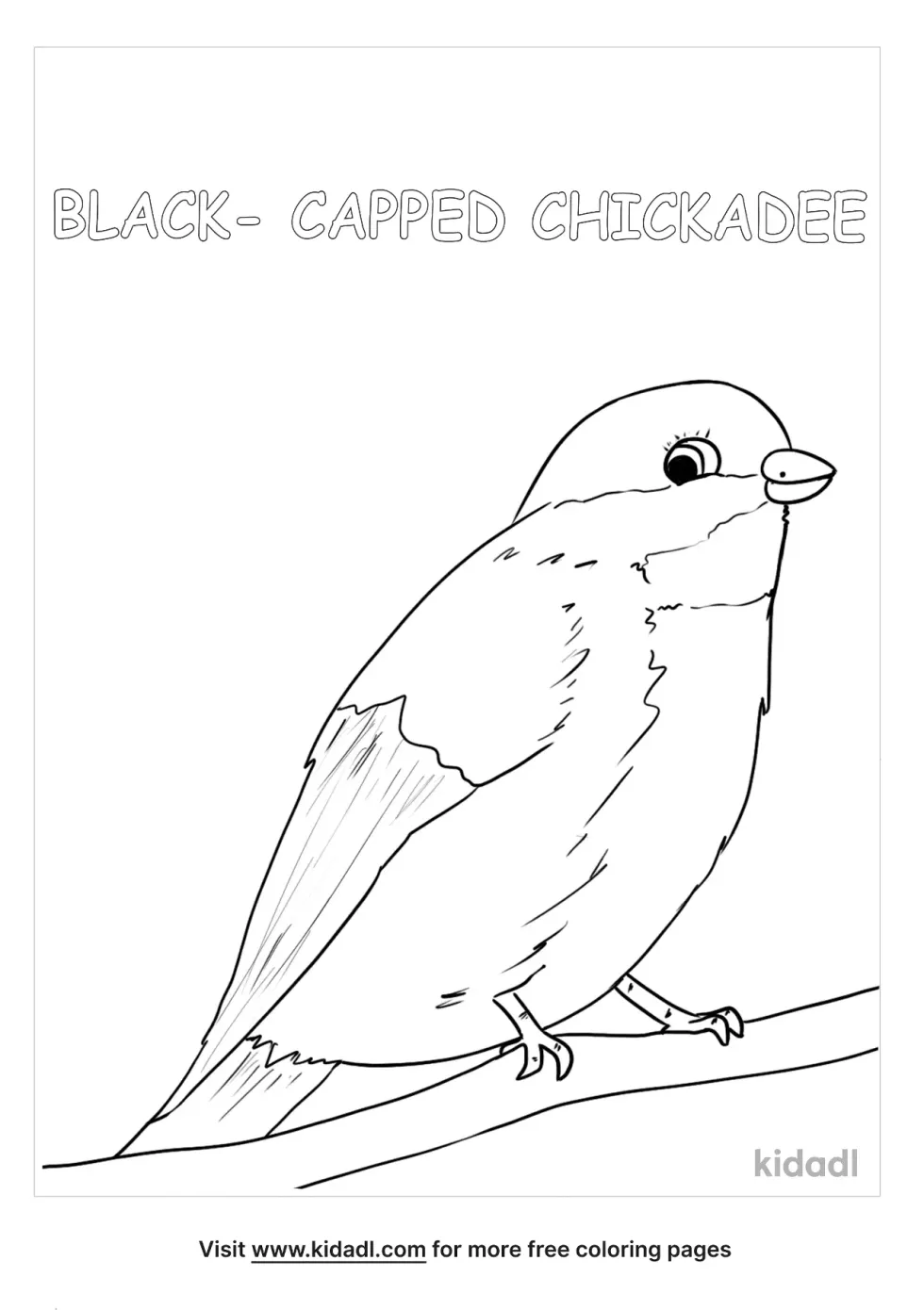 Maine State Bird Coloring Page