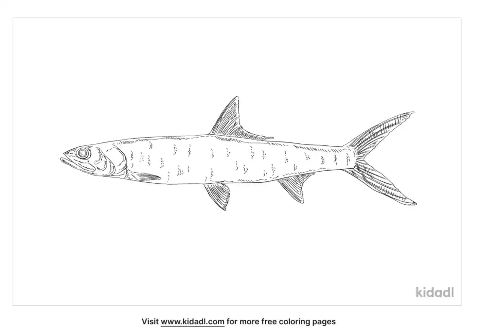 Elops Saurus Coloring Page