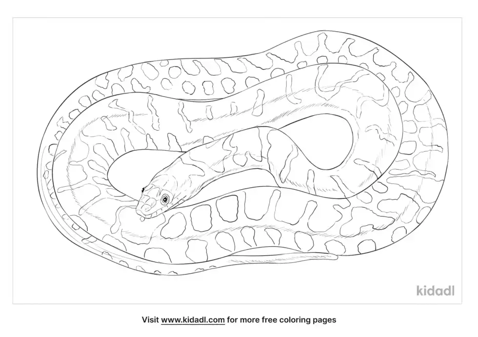 Brazos Water Snake Coloring Page