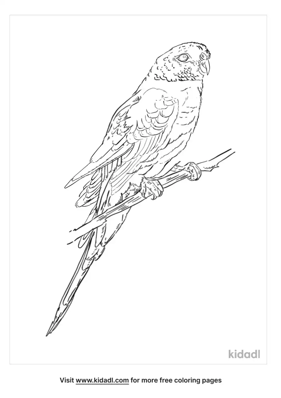 Blue-Winged Parrot Coloring Page