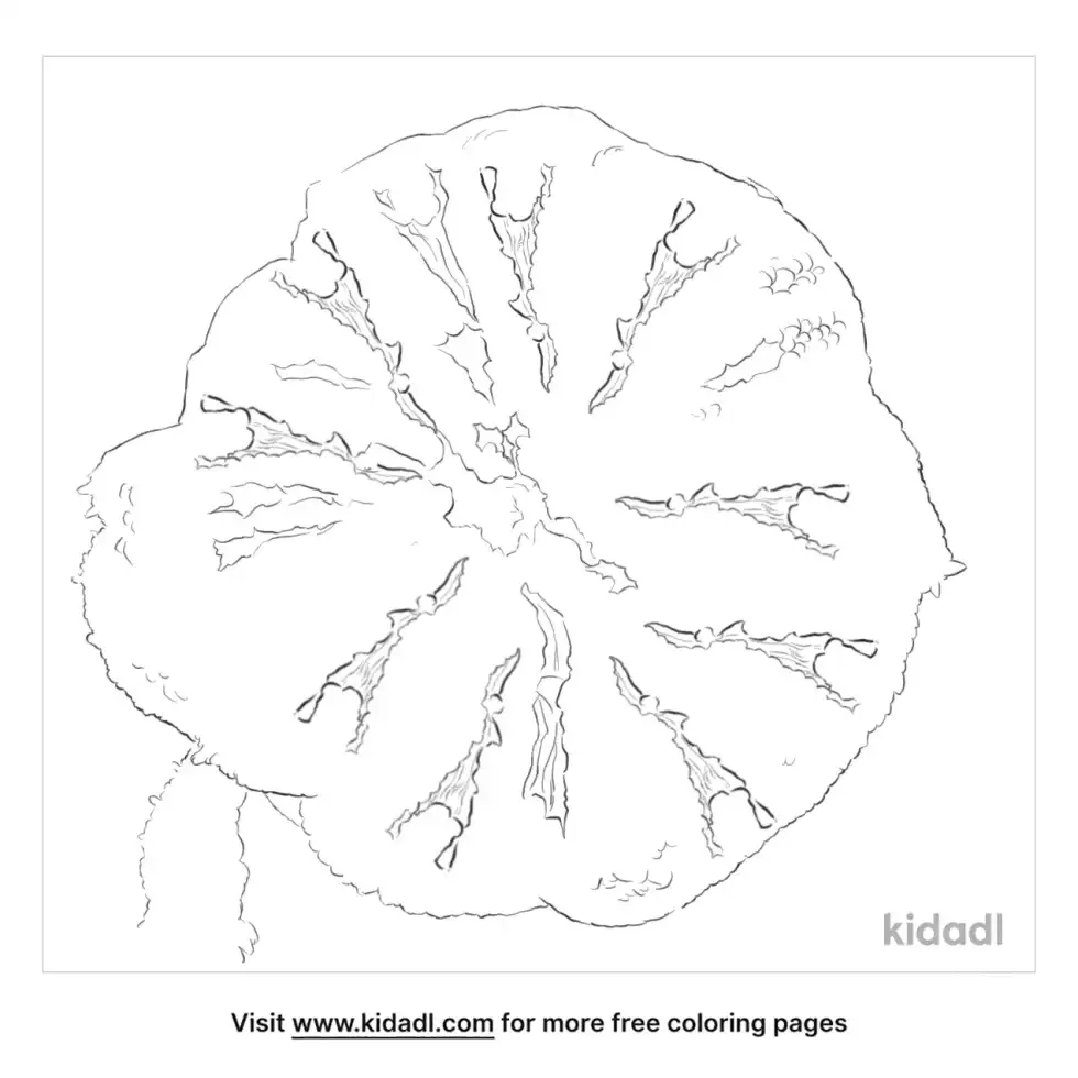 Mini Carpet Anemone Coloring Page
