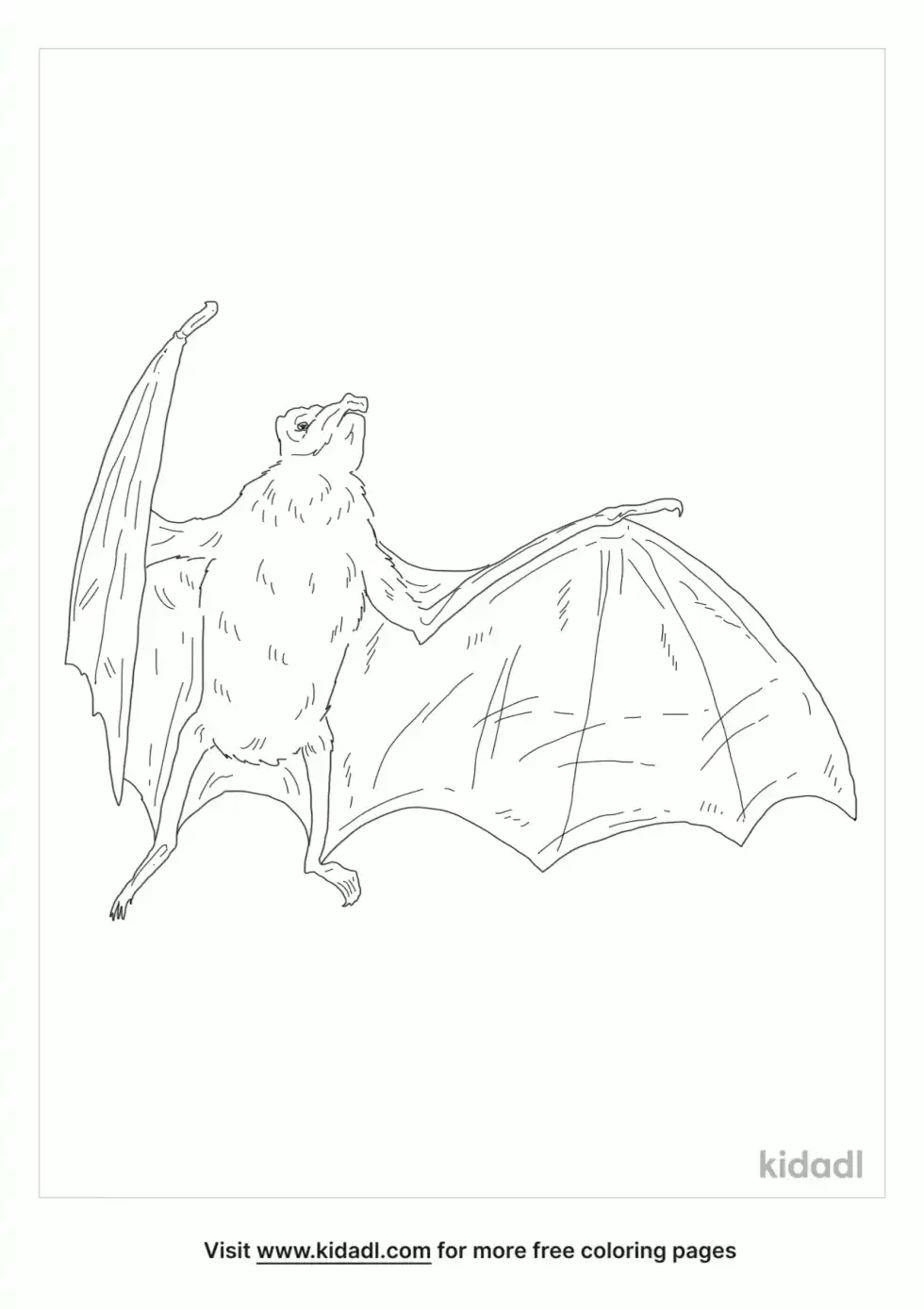 White-Winged Vampire Bat Coloring Page