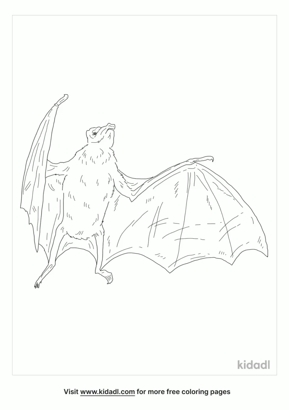 White-Winged Vampire Bat