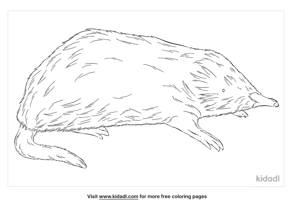 Talpidae Coloring Page