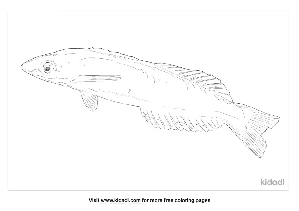 Señorita Fish Coloring Page